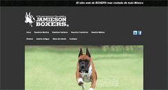 Desktop Screenshot of boxersdemexico.com