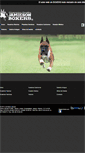 Mobile Screenshot of boxersdemexico.com